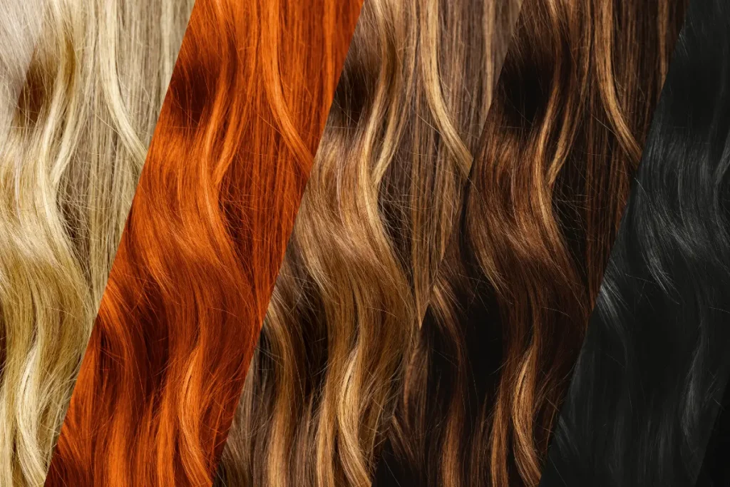 Várias tonalidades de cabelos