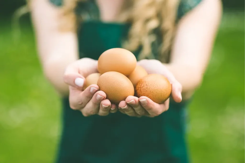 Mãos segurando ovos