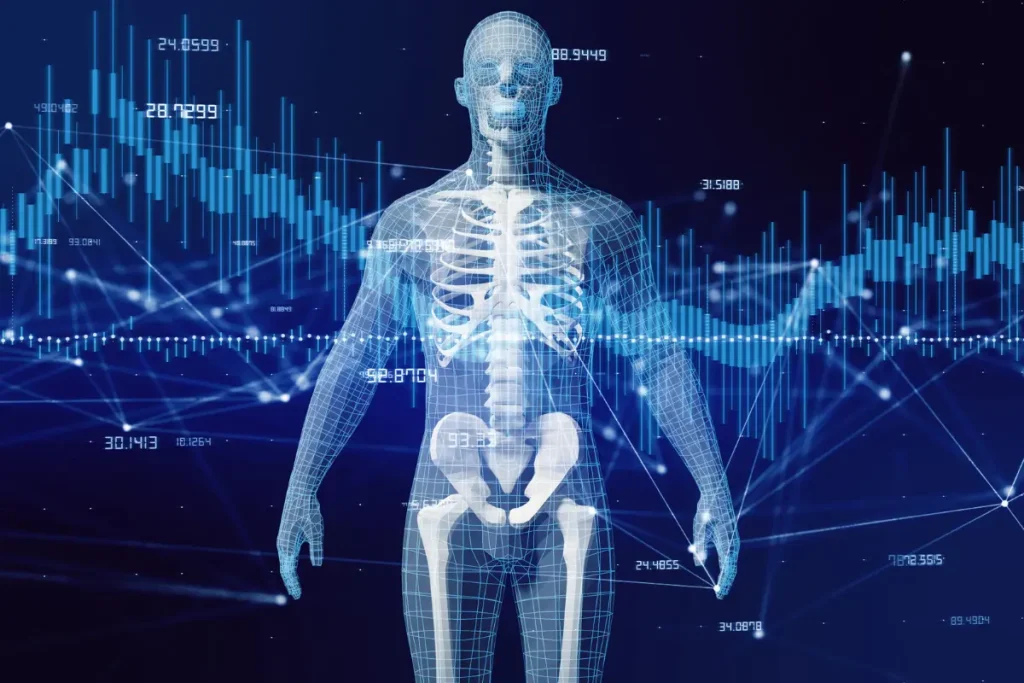 Ilustração do corpo humano mostrando os ossos