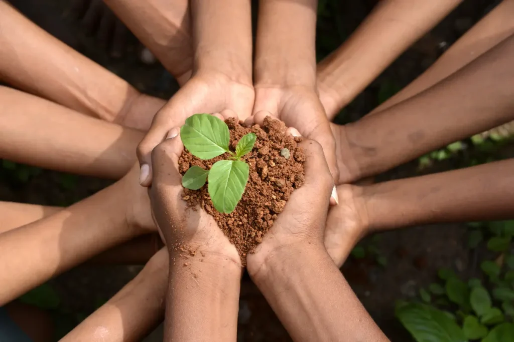 Mãos segurando um punhado de terra com uma muda de uma planta em suas mãos