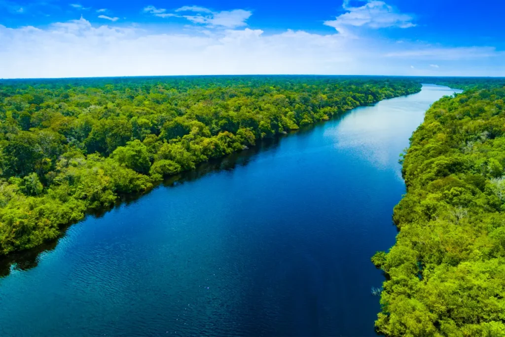 Rio rodeado de uma linda e preservada floresta