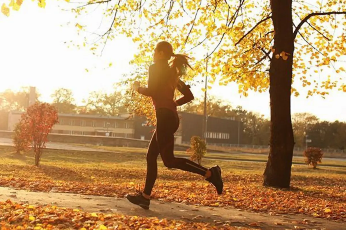 Exercícios Físicos 9 Benefícios Que Transformam Sua Vida - Mulher correndo no parque